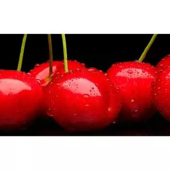 Панель для кухонного фартука ФАРТУКОФФ ФФ-197 35011970401