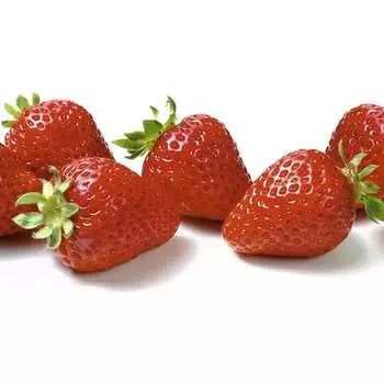 Панель для кухонного фартука ФАРТУКОФФ ФФ-10 35010100401