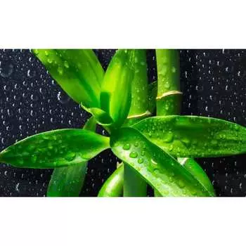 Панель для кухонного фартука ФАРТУКОФФ ФФ-231 35012310401