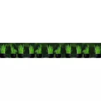 Панель для кухонного фартука ФАРТУКОФФ ФФ-281 35012810404