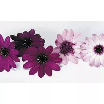 Панель для кухонного фартука ФАРТУКОФФ ФФ-320 35013200401