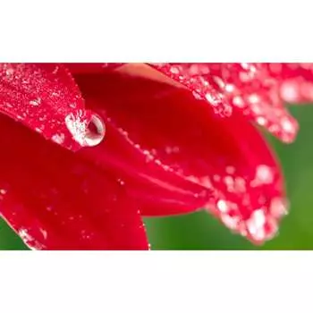 Панель для кухонного фартука ФАРТУКОФФ ФФ-235 35012350401