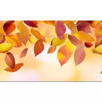 Панель для кухонного фартука ФАРТУКОФФ ФФ-159 35011590401