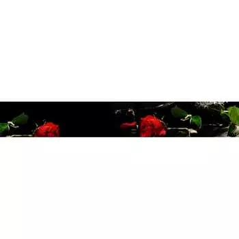 Панель для кухонного фартука ФАРТУКОФФ ФФ-61 35010610404