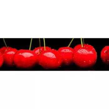 Панель для кухонного фартука ФАРТУКОФФ ФФ-197 35011970402