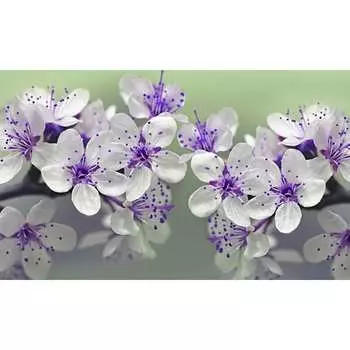 Панель для кухонного фартука ФАРТУКОФФ