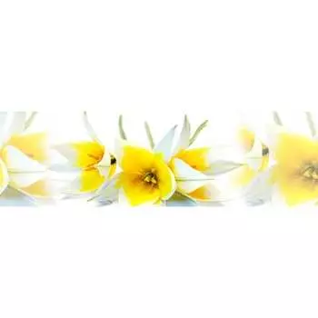 Панель для кухонного фартука ФАРТУКОФФ ФФ-243 35012430402