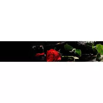 Панель для кухонного фартука ФАРТУКОФФ ФФ-61 35010610403