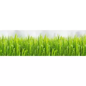 Панель для кухонного фартука ФАРТУКОФФ ФФ-292 35012920402