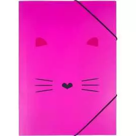 Папка №1 School