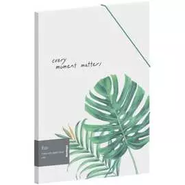 Папка Berlingo Eco FB4_A4801