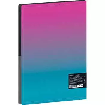 Папка Berlingo Radiance RB4_2D002