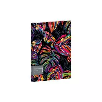 Папка Berlingo Neon Paradise RB4_2D081