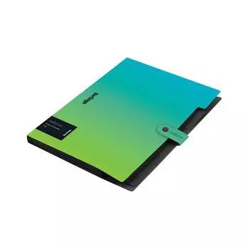 Папка Berlingo radiance XF4_05003