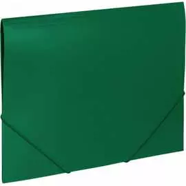 Папка BRAUBERG Office 227710