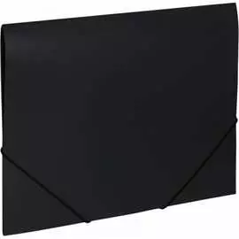 Папка BRAUBERG Office 227713