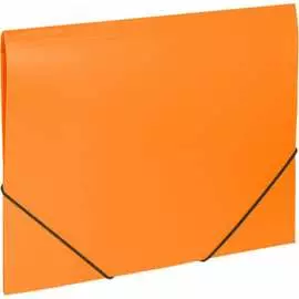 Папка BRAUBERG Office 228084