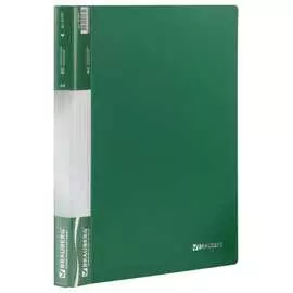 Папка BRAUBERG Стандарт 221601