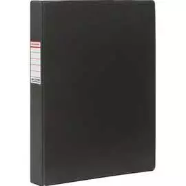 Папка BRAUBERG 221483