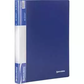 Папка BRAUBERG Стандарт 221603