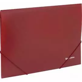 Папка BRAUBERG Стандарт 221622