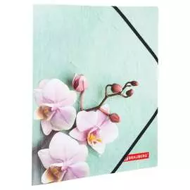 Папка BRAUBERG FLOWER 228032