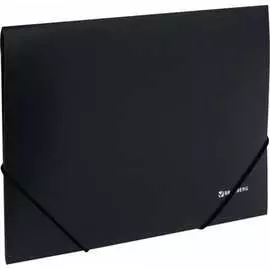 Папка BRAUBERG Стандарт 221624