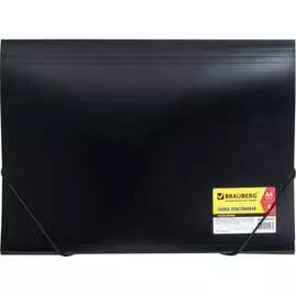 Папка BRAUBERG Business 224145