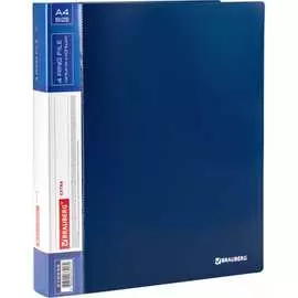 Папка BRAUBERG EXTRA 270548