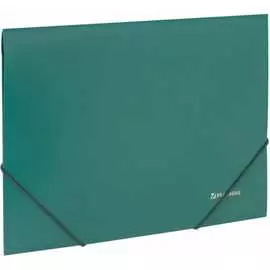 Папка BRAUBERG Стандарт 221621