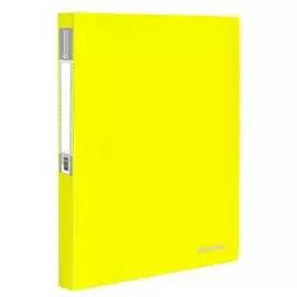 Папка BRAUBERG Neon 227453
