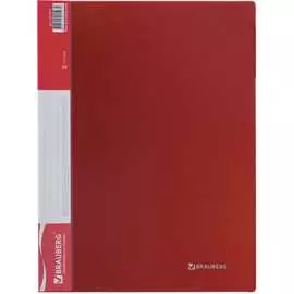 Папка BRAUBERG Стандарт 221614