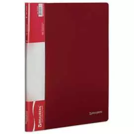 Папка BRAUBERG Стандарт 221590