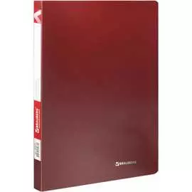 Папка BRAUBERG Office 222643