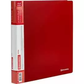 Папка BRAUBERG Extra 270545