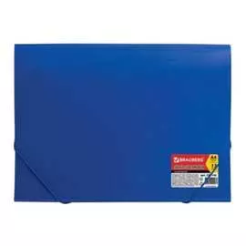 Папка BRAUBERG Business 224146