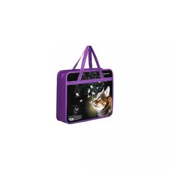 Папка BRAUBERG Dream cat 270868