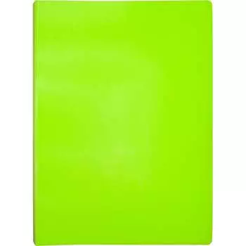 Папка Бюрократ Double Neon DNE07V30LETT 1131764