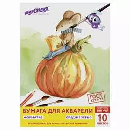 Папка для акварели ЮНЛАНДИЯ 111066