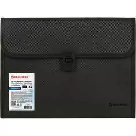 Папка для бумаг и документов BRAUBERG HIT 229572