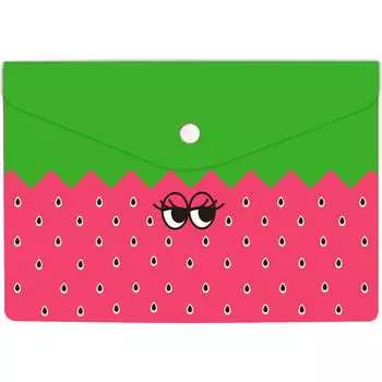 Папка для документов Феникс +