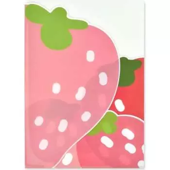 Папка для документов Феникс +