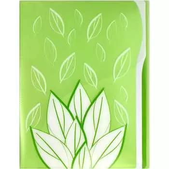 Папка для документов Феникс +