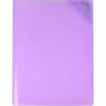 Папка для документов Феникс +