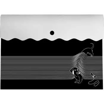 Папка для документов Феникс +