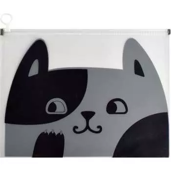 Папка для документов Феникс +