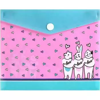 Папка для документов Феникс +