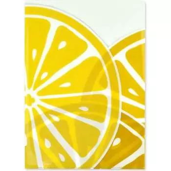 Папка для документов Феникс +