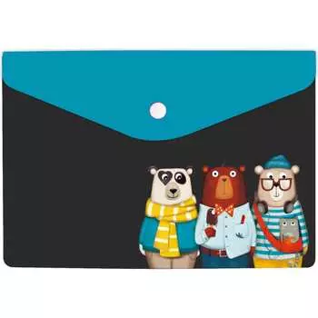 Папка для документов Феникс +