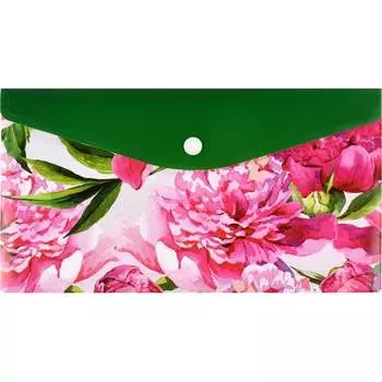 Папка для документов Феникс +